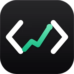 .Code icon
